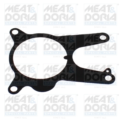 Gasket, vacuum pump